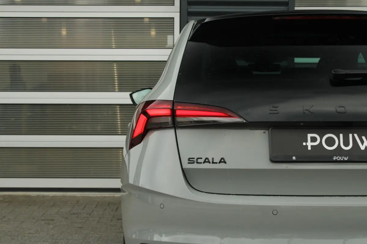 1.0 TSI 115pk Monte Carlo | Trekhaak Wegklapbaar | 18" Velgen