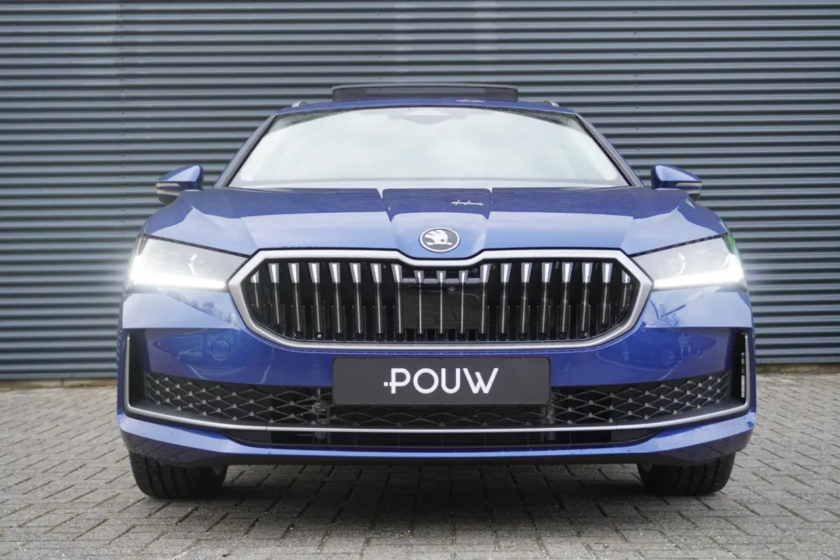 1.5 TSI 204pk PHEV Business Edition | Winter Pakket | 19" Velgen