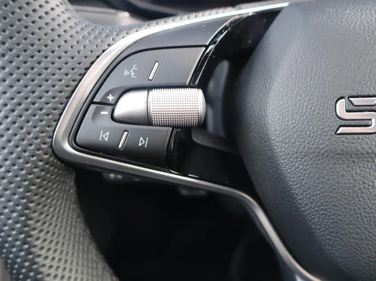 1.0 TSI 115pk DSG Monte Carlo | Apple Carplay/Android Auto | Stoelverwarming | Achteruitrijcamera