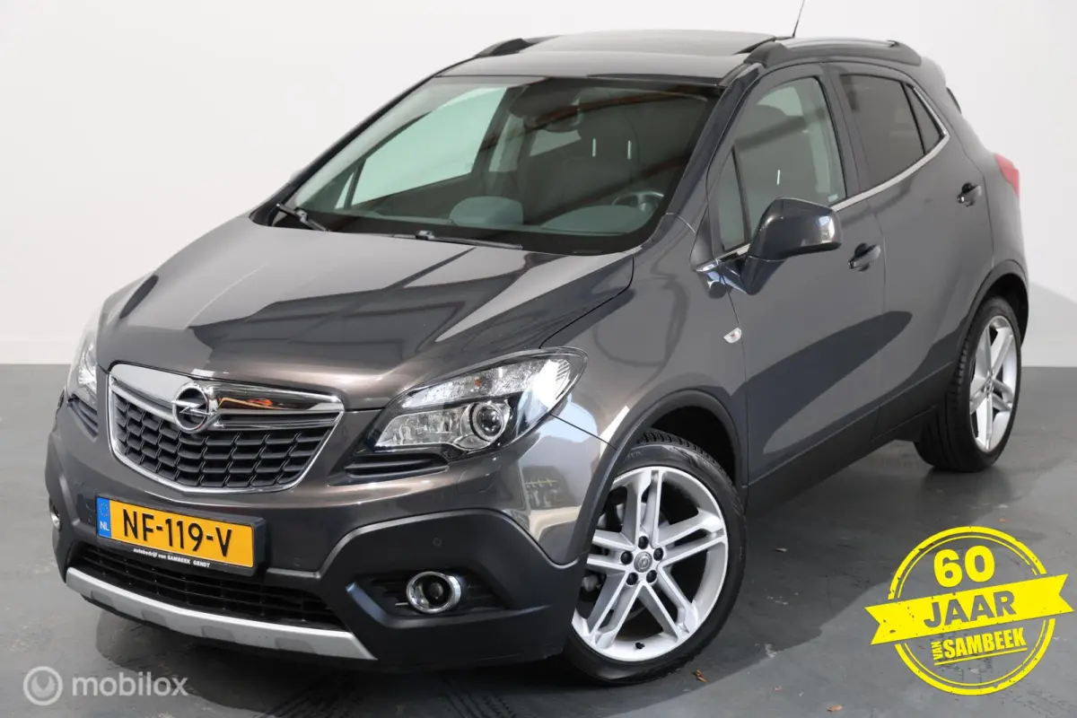 1.4 T Edition - Stoel/Stuurverwarming - Camera - Navi