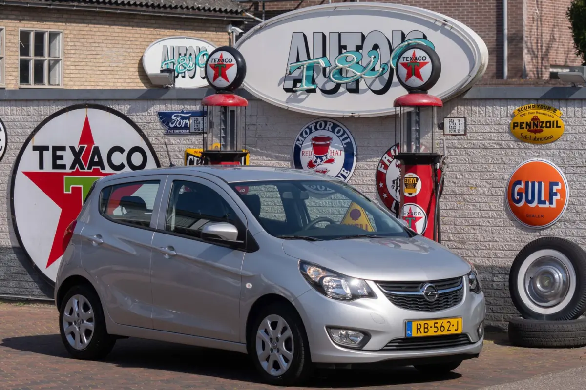 1.0 ecoFLEX Edition 53.200 km +NAP NL-auto