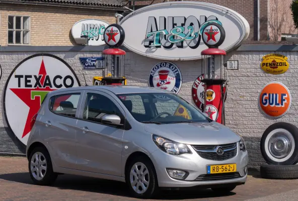 1.0 ecoFLEX Edition 53.200 km +NAP NL-auto