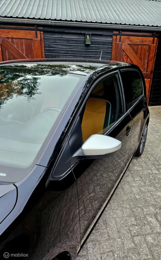 Savana GOLD Edition FACELIFT