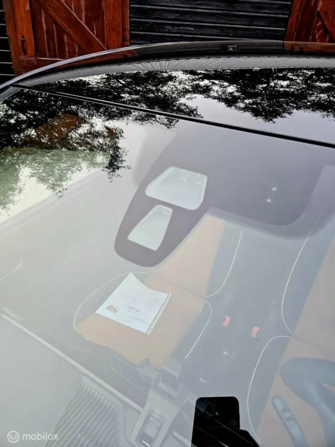 Savana GOLD Edition FACELIFT