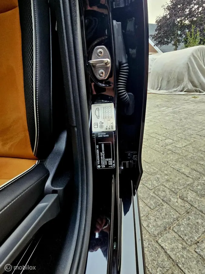 Savana GOLD Edition FACELIFT