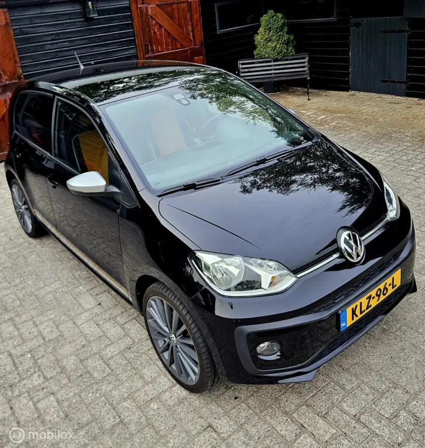 Savana GOLD Edition FACELIFT