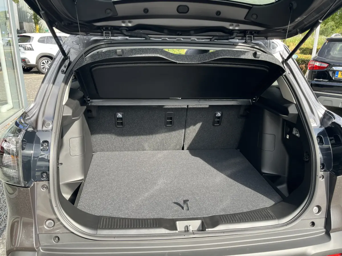 1.4 Boosterjet Special Edition Smart Hybrid | Uit voorraad leverbaar | 0066 | Panodak |