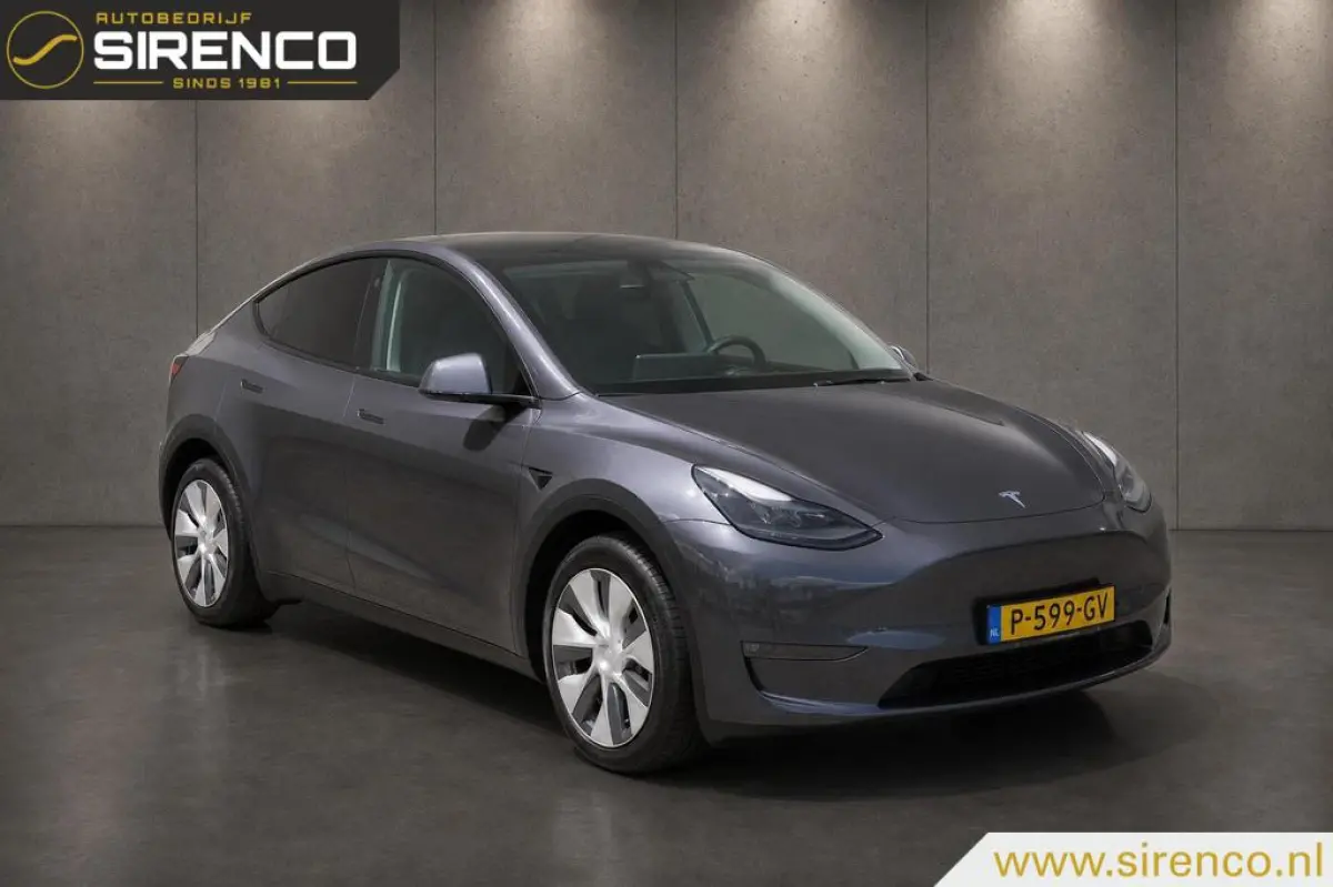 Long Range AWD 75 kWh | leder |autopilot | 360 cam | dual motor | panodak | stoelverwarming v + a |