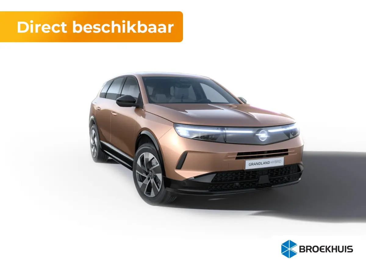 Business Edition - PHEV | 7,4 kW boordlader | Achteruitrijcamera | Draadloze telefoonlader (Inductie)