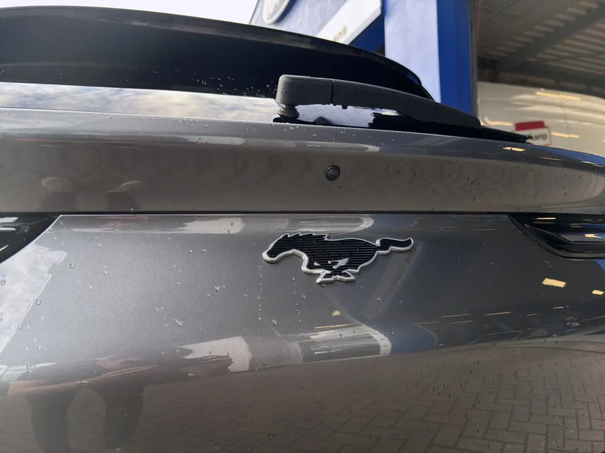 Extended First Edition AWD 98 kWh | Pano | SOH 95,5% | Trekhaak | Adap. Cruise | 19 inch