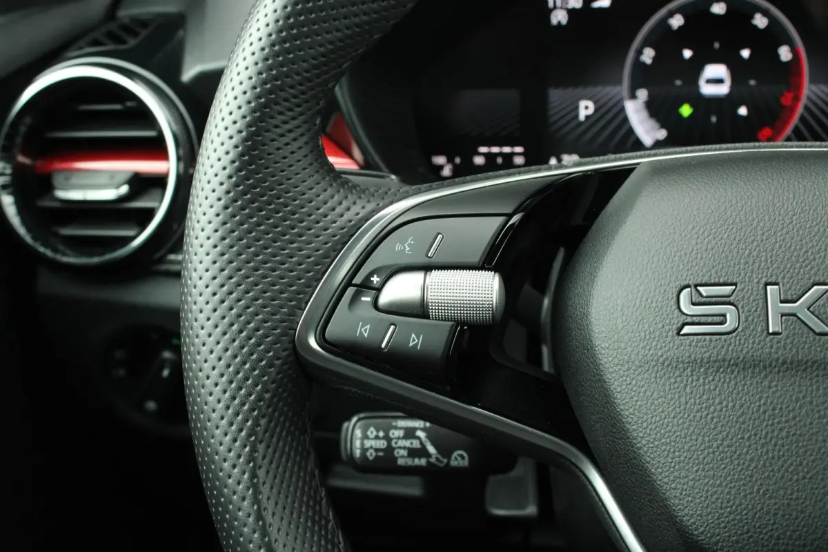 1.0 TSI 115pk DSG Monte Carlo | Cruise Control Adaptief | Stoelverwarming | Camera | Apple CarPlay / Android Auto | Climate Control