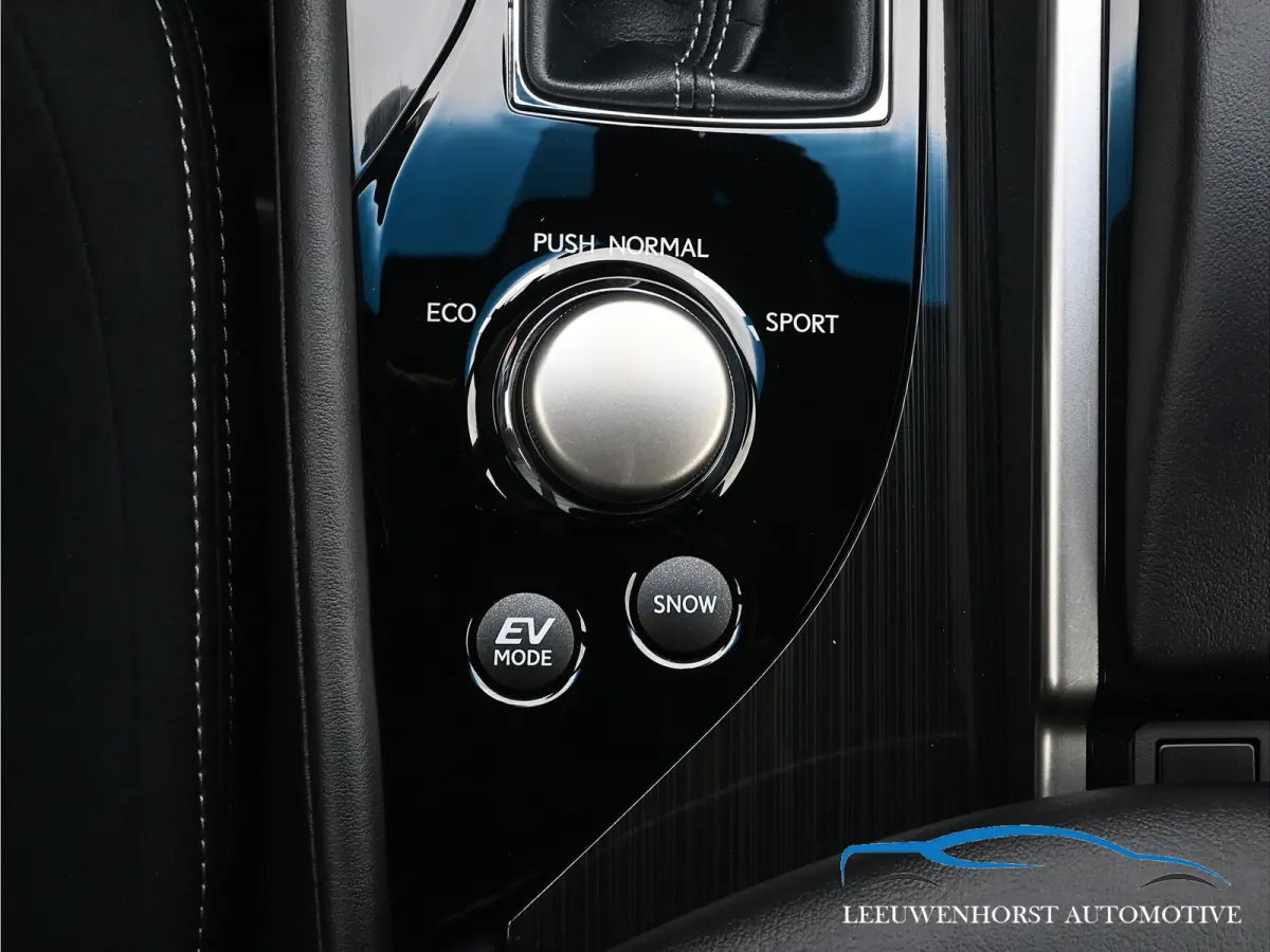 450h Business Line, 293 pk, alcantara, cruise, navi, clima, trekhaak, NL-dealerauto