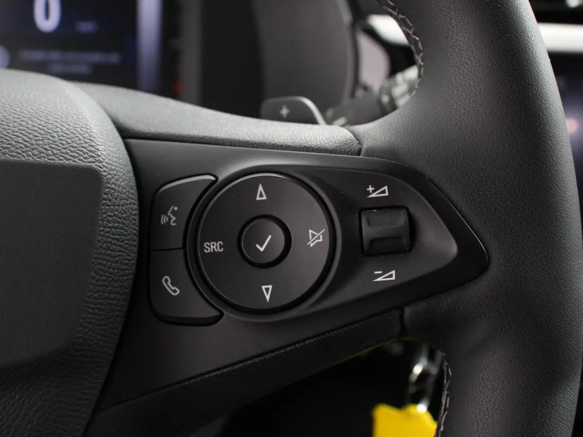1.2 Turbo 100pk Automaat Hybrid GS-Line Navigatie Apple Carplay/Android Auto Digitale Cockpit Airco Cruise Control Lichtmetalen Velgen Dab