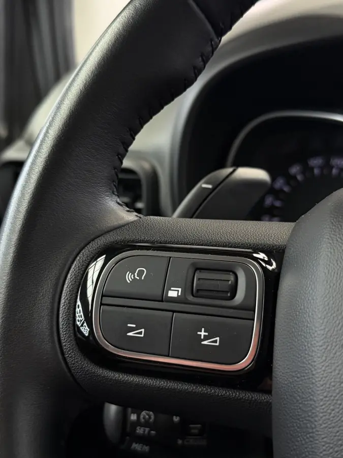 1.2 PureTech Rip Curl Edition CarPlay Camera