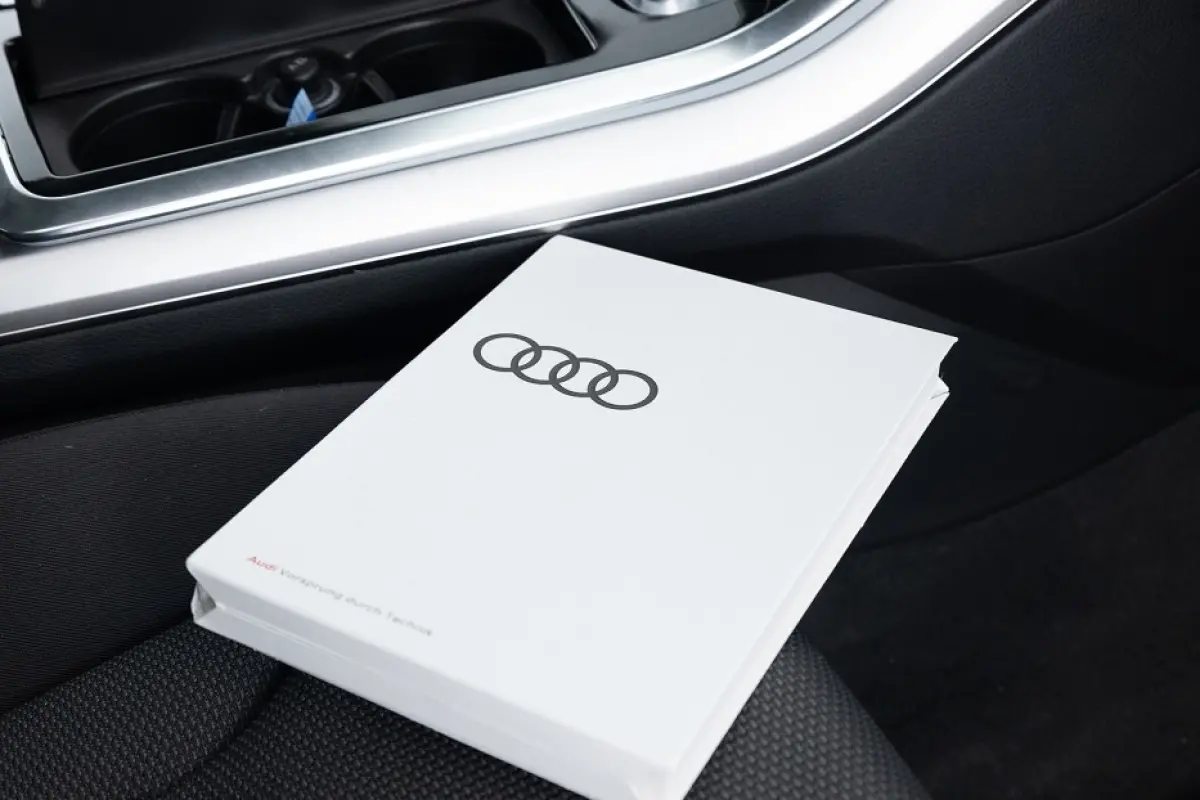 55 TFSI e quattro Pro Line PHEV *SOH 100%* 2.700 kg TREKGEWICHT*