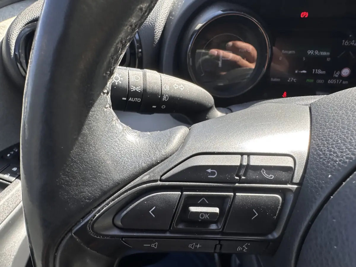 1.5 Hybrid Executive|Aut|Leder|NIEUWSTAAT