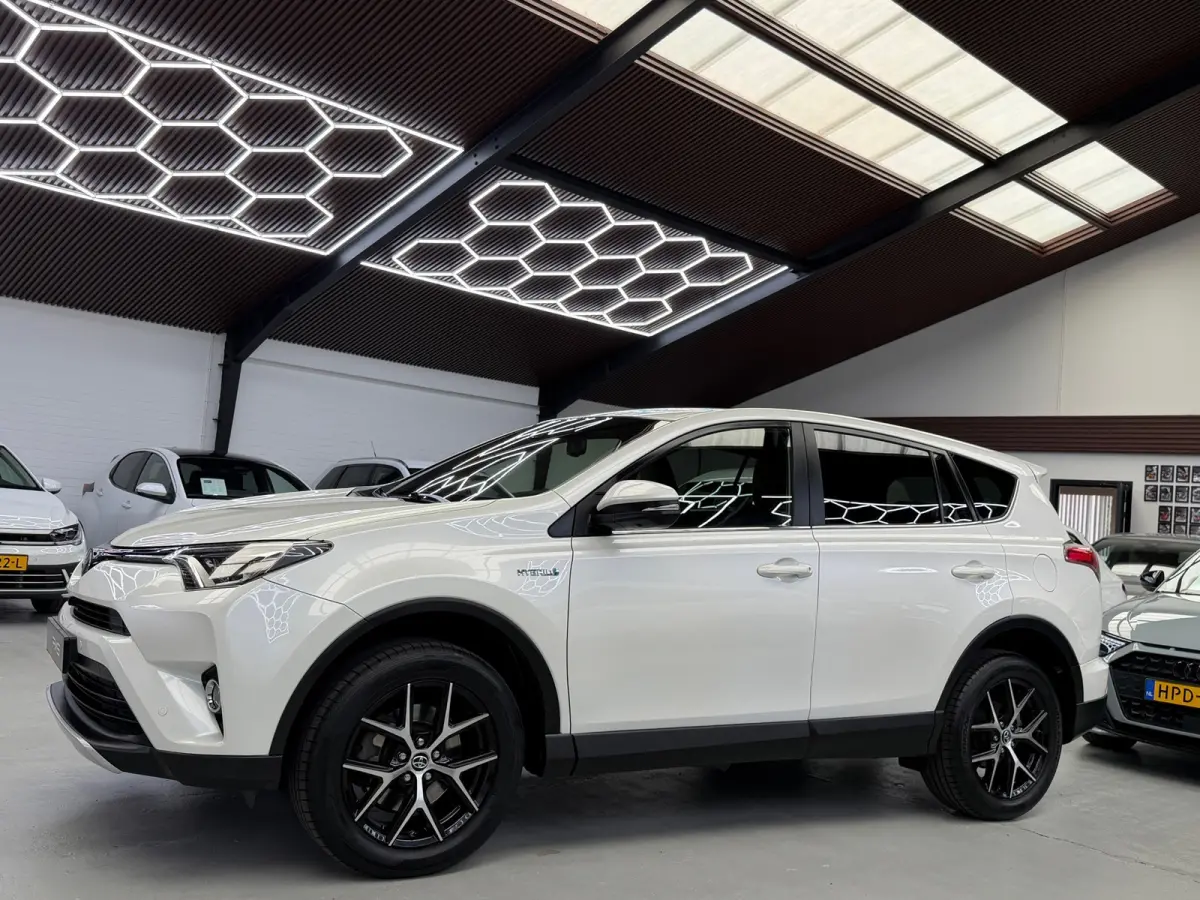 2.5 Hybrid AWD Style 360° Camera Trekhaak