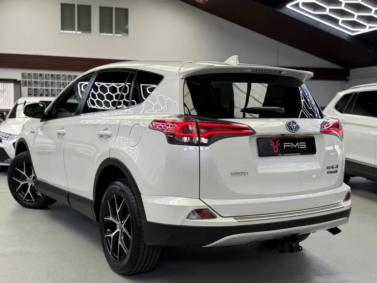 2.5 Hybrid AWD Style 360° Camera Trekhaak