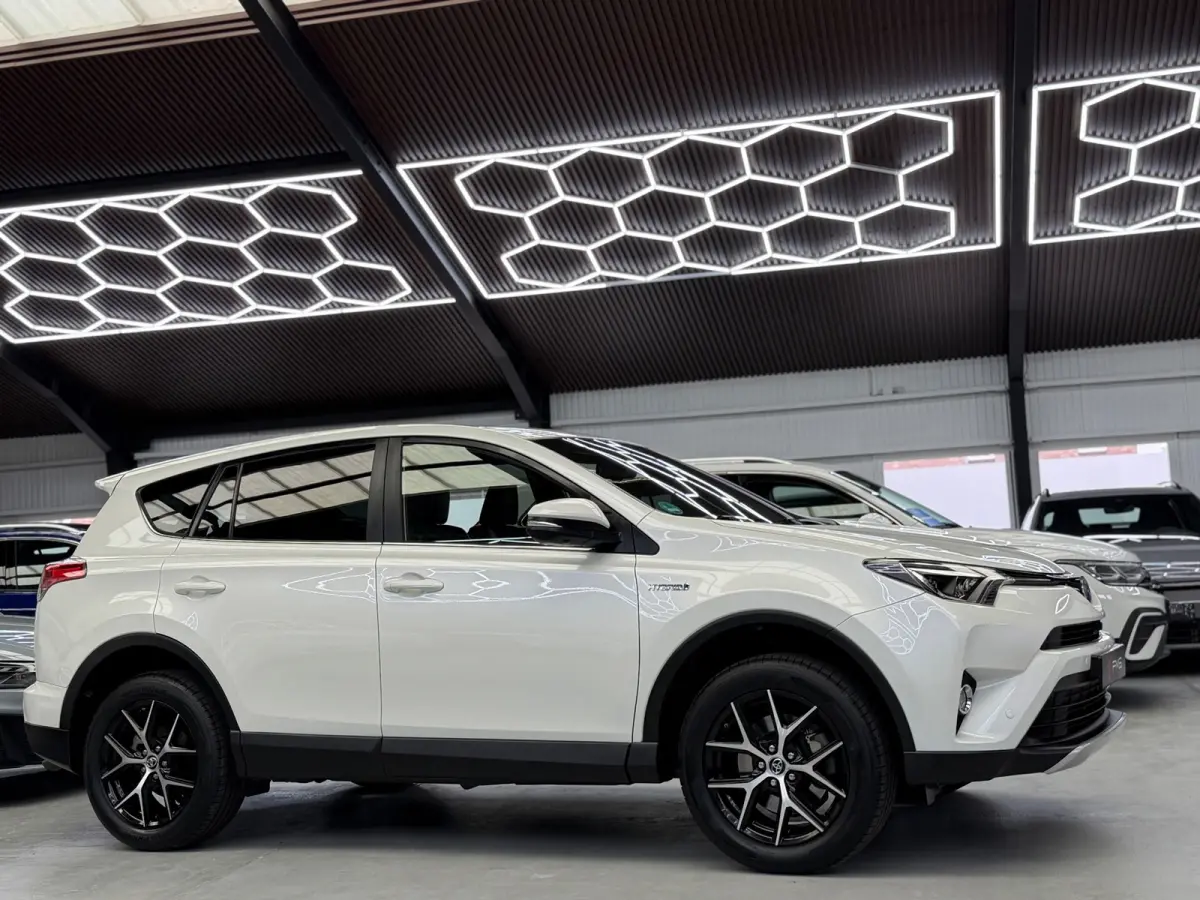 2.5 Hybrid AWD Style 360° Camera Trekhaak