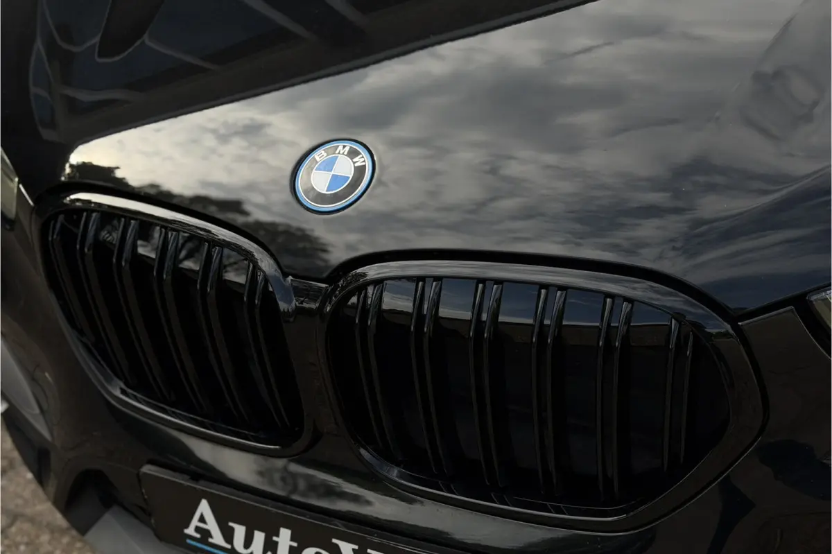 xDrive25e | Leder | Camera | Adaptive Cruise | LED | PDC V & A | 35X op voorraad