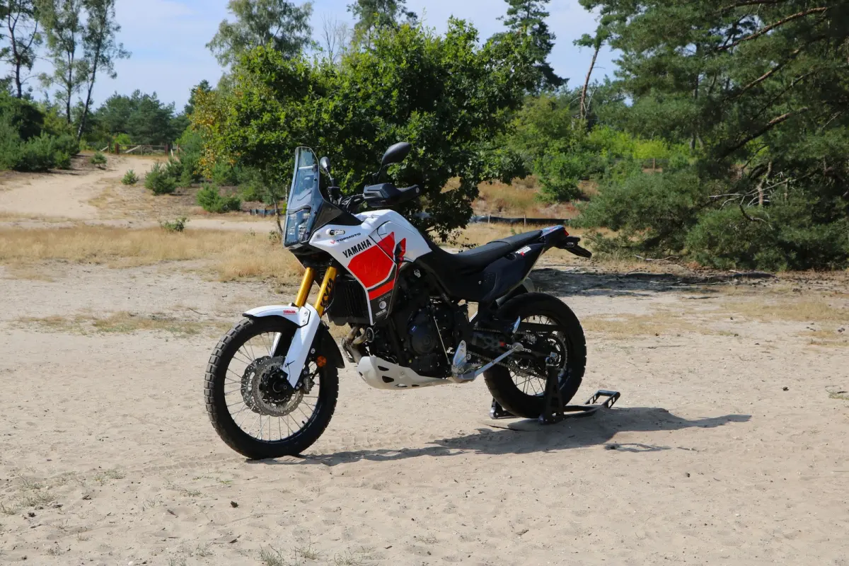 SP
