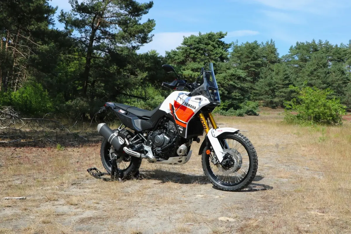 SP