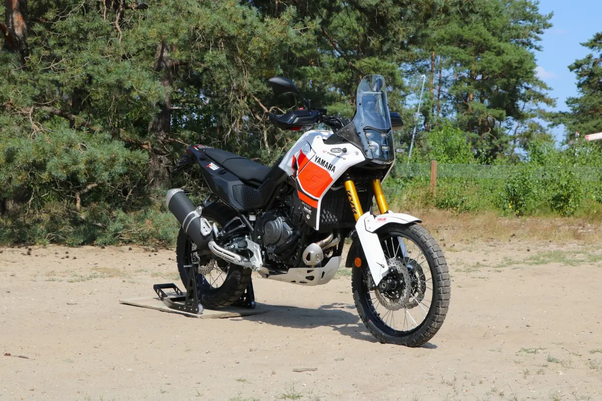 SP