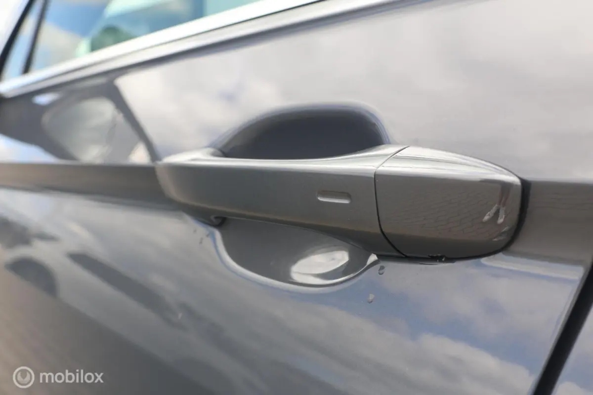 1.4 TSI e-Hybrid PHEV FR | Panodak | Camera | LED