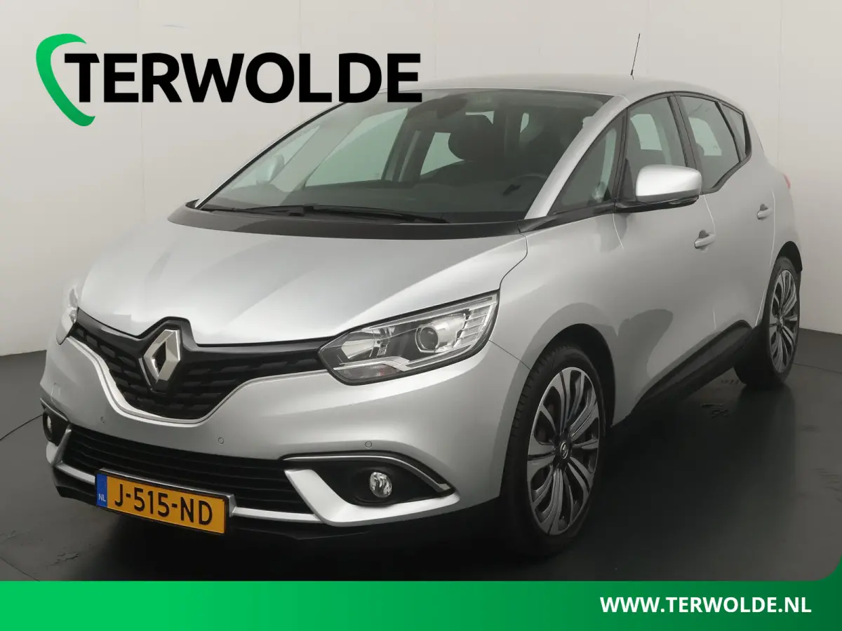 TCe 115 GPF Zen | Dealer onderhouden |