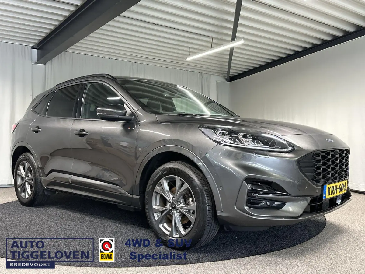 2.5 PHEV ST-Line X Automaat | Winterpakket | Camera | SOH 86,5% |