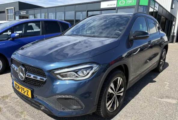 250 e Hybride | Business Solution Luxery Limited