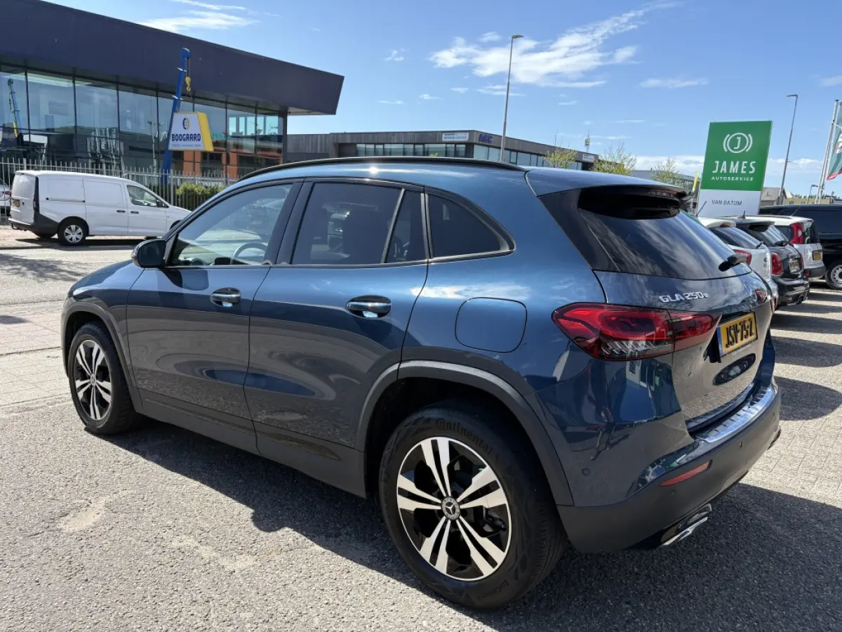 250 e Hybride | Business Solution Luxery Limited