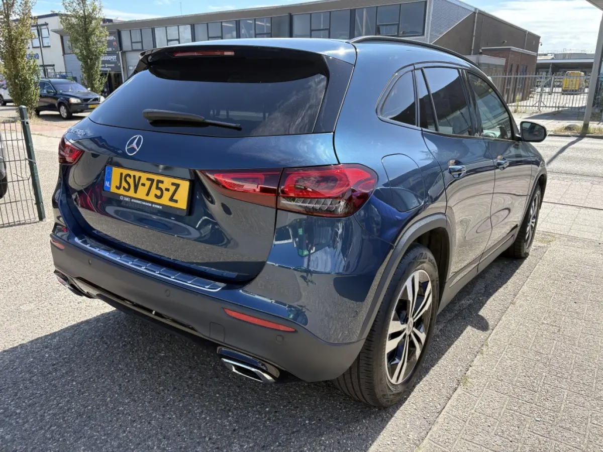 250 e Hybride | Business Solution Luxery Limited