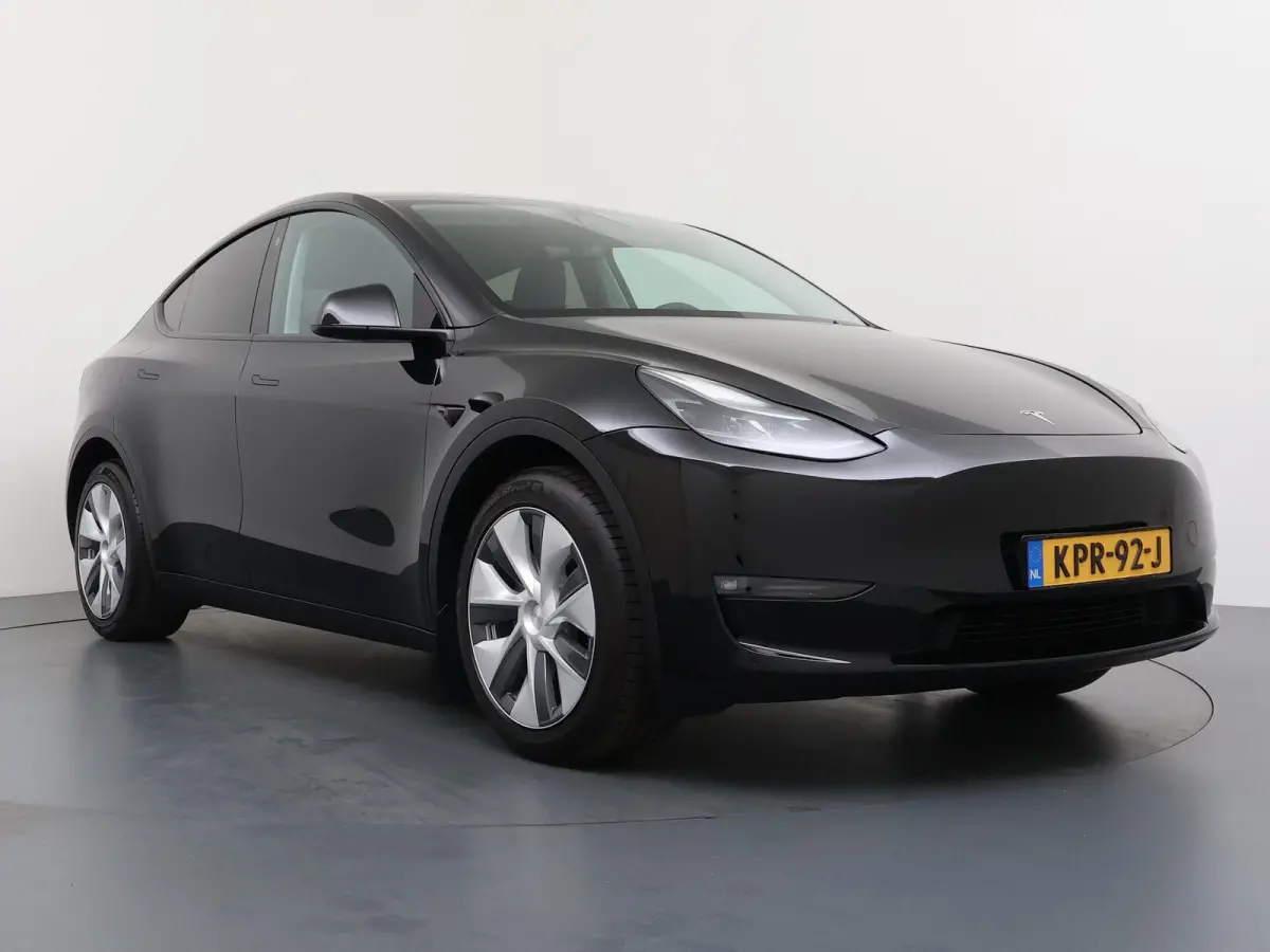 Long Range AWD 75 kWh | Basic Autopilot | Panoramadak |