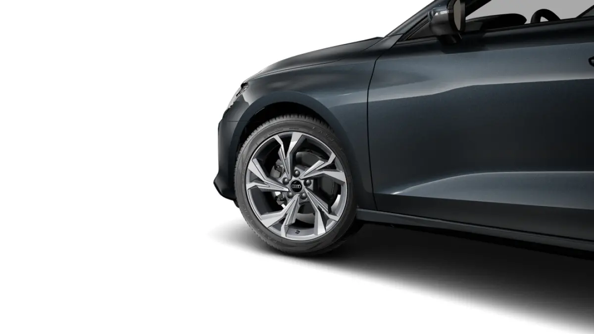 Advanced Edition | Audi sound system | Optiekpakket zwart plus | Privacy glas (donker getint)