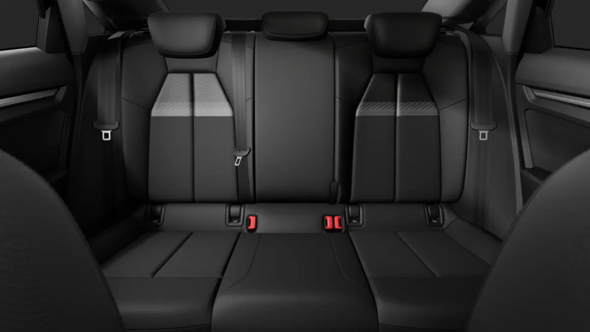 S edition | Audi sound system | Optiekpakket zwart plus | Privacy glas (donker getint)