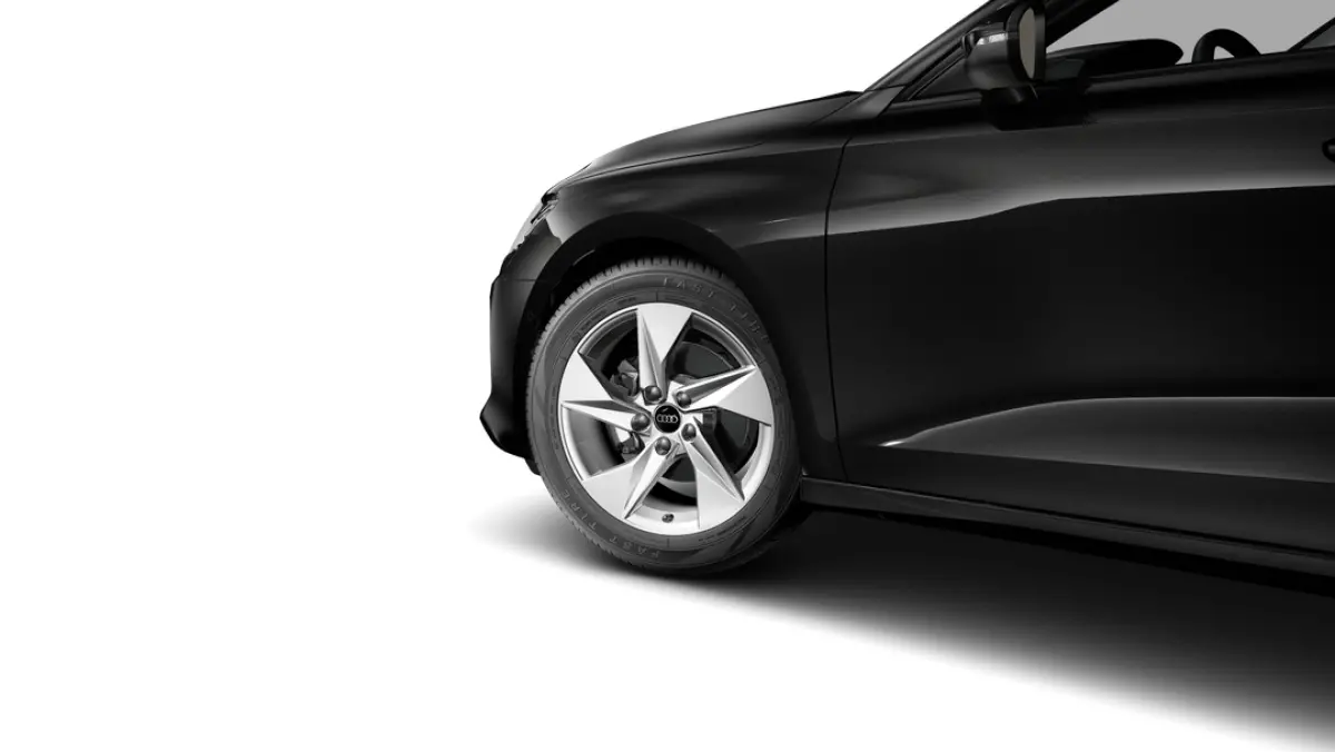 S edition | Audi sound system | Optiekpakket zwart plus | Privacy glas (donker getint)