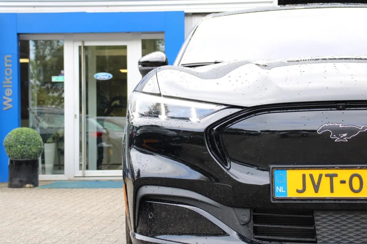 Extended AWD 98 kWh | 360° CAMERA | PANODAK | B&O | DODE HOEK | ADAPTIVE CRUISE | ELEKTR. STOEL | WINTERPACK | LANE ASSIST