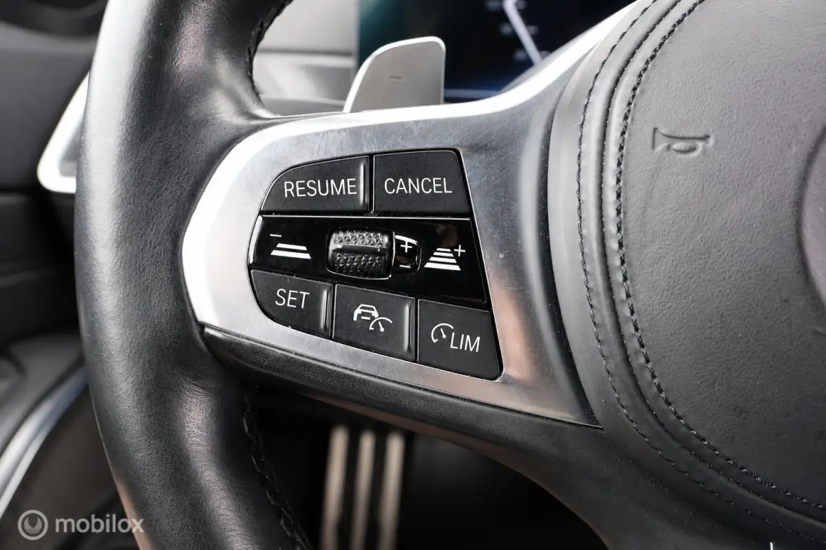 330e xDrive M Sport | Panodak | Leder | H/K | Trekhaak