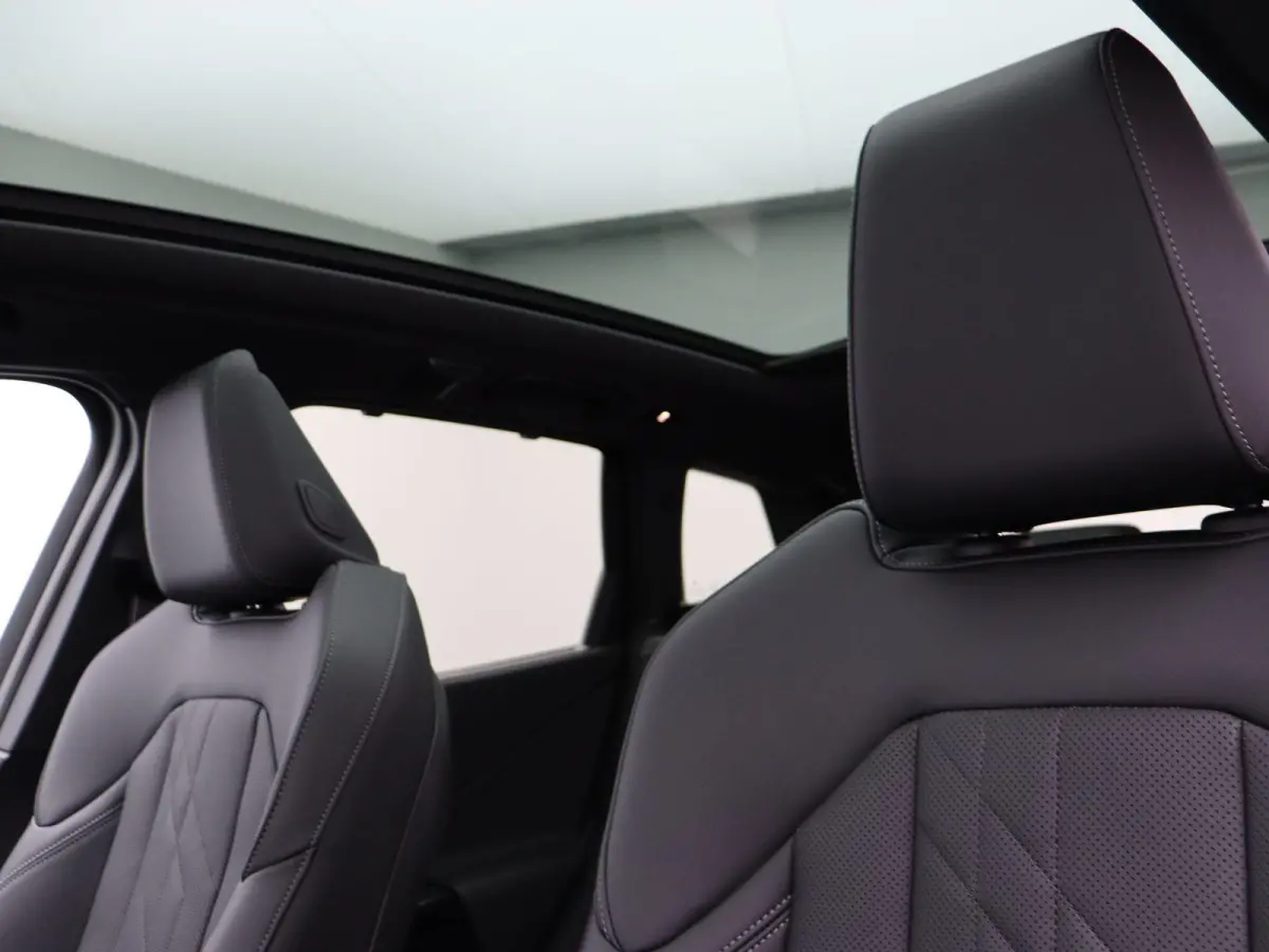 30e xDrive M Sportpakket Pro | SoH 100% | Professional Pack | Comfort Pack | Premium Pack | Trekhaak | Panoramadak | 	Driving Assistant Plus | Harman Kardon | 20''