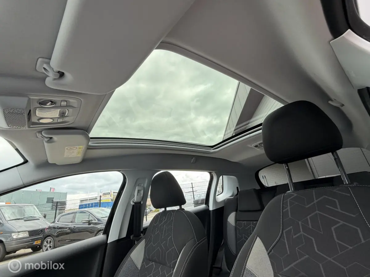 1.2 110PK Blue Lion | CARPLAY | TREKHAAK |
