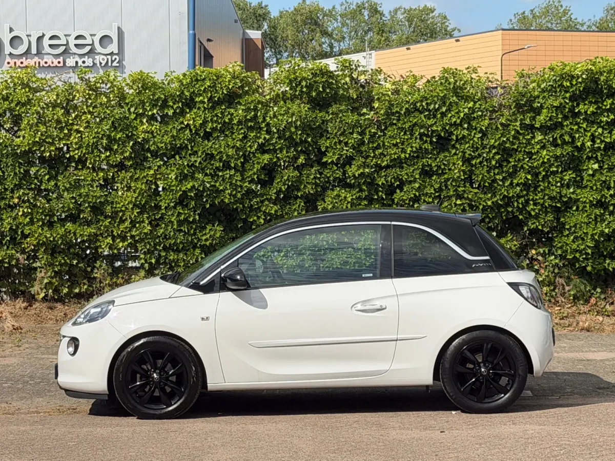 1.0 Turbo Unlimited - Saturday White Fever/Black - Led/Carplay - Lekker Sportief