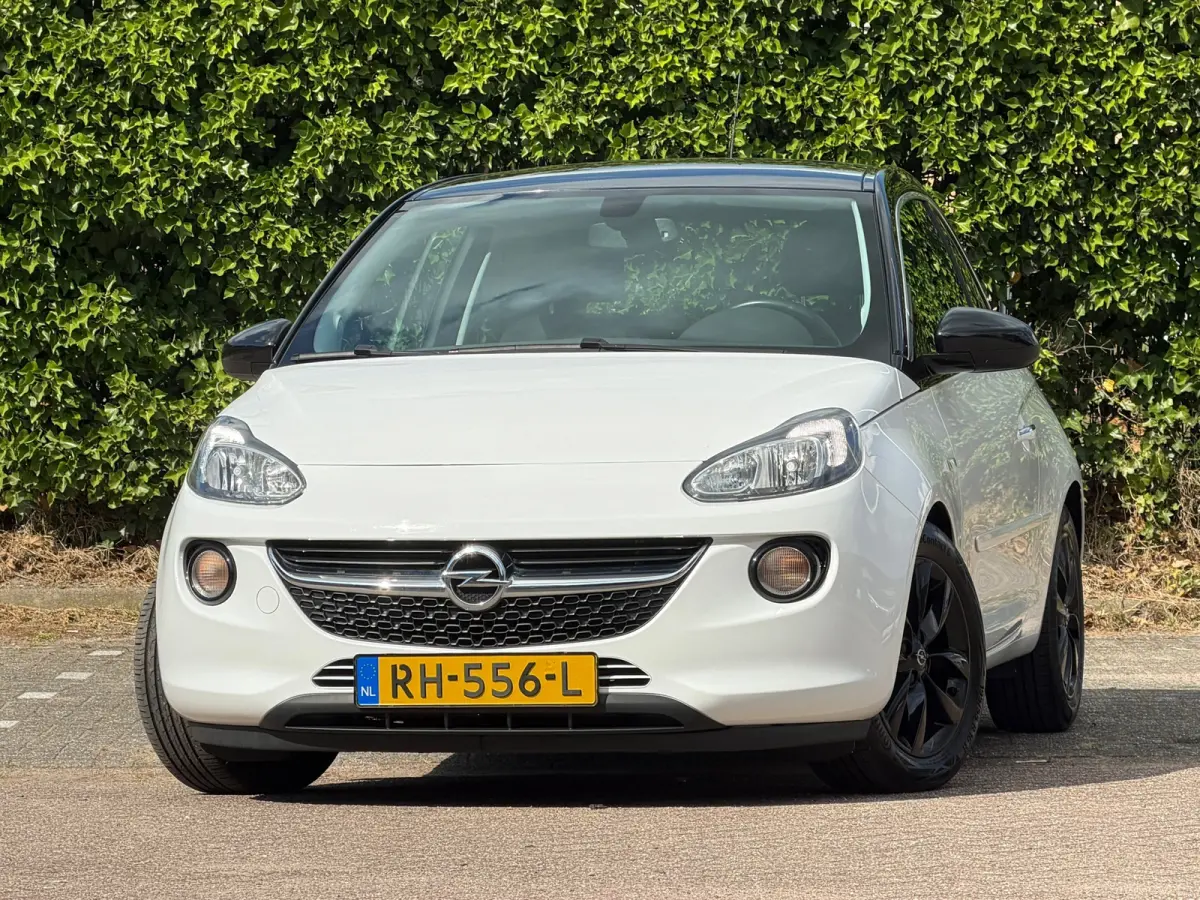 1.0 Turbo Unlimited - Saturday White Fever/Black - Led/Carplay - Lekker Sportief
