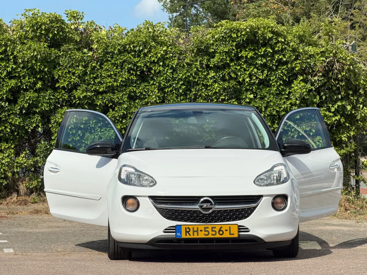 1.0 Turbo Unlimited - Saturday White Fever/Black - Led/Carplay - Lekker Sportief
