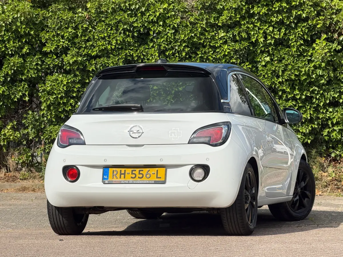 1.0 Turbo Unlimited - Saturday White Fever/Black - Led/Carplay - Lekker Sportief