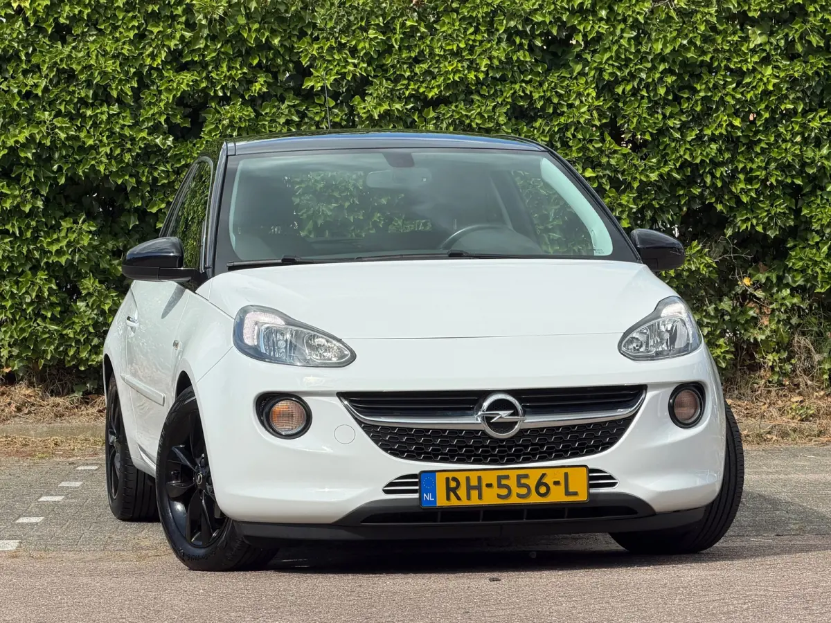 1.0 Turbo Unlimited - Saturday White Fever/Black - Led/Carplay - Lekker Sportief