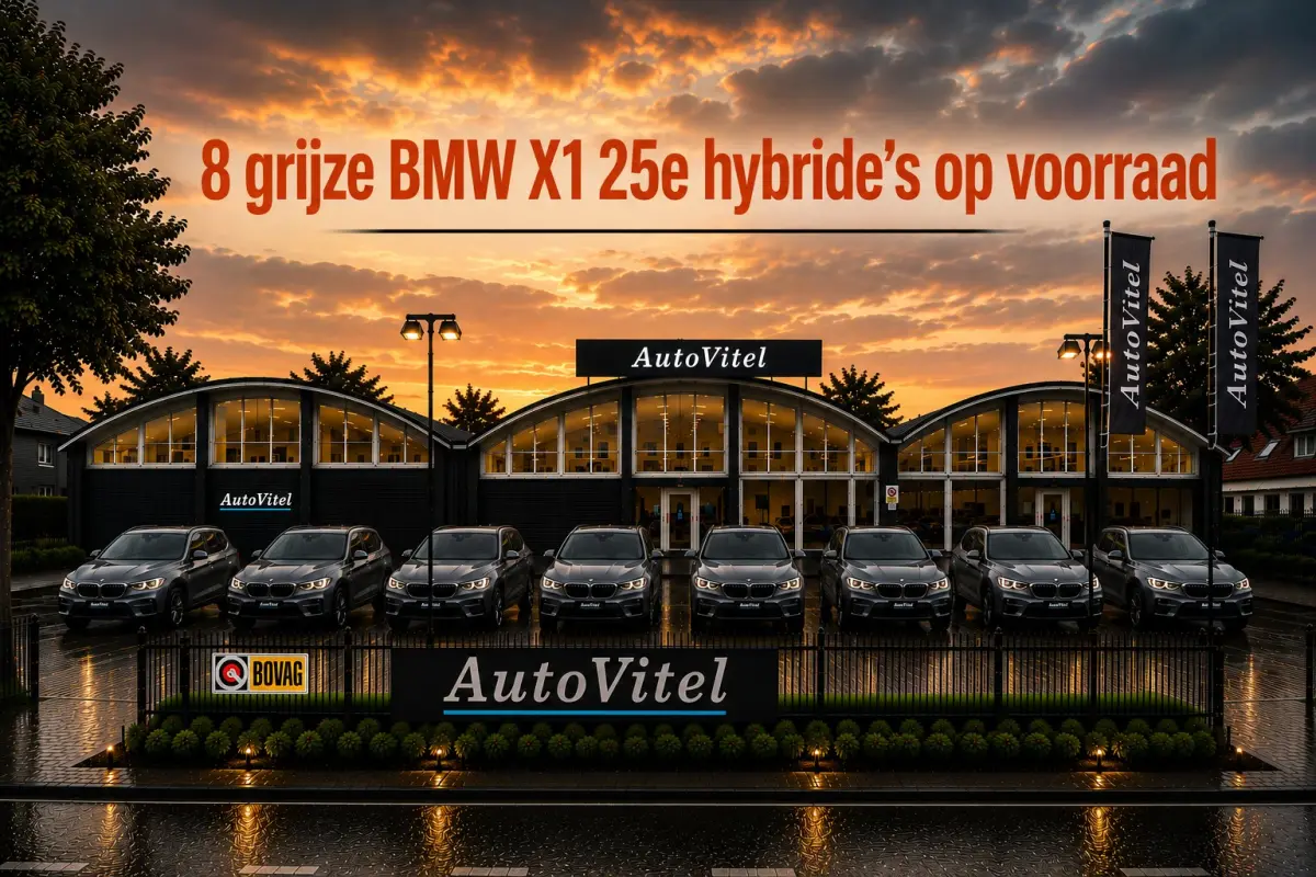 xDrive25e | Leder | Stoelverwarming | PDC V+A | LED | NAVI | 35X op voorraad