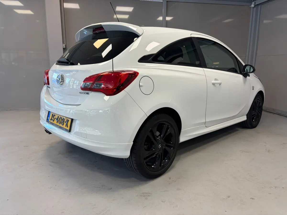 Color Edition OPC-line 1.0 Turbo | Cruise control | 17" Lichtmetalen velgen |