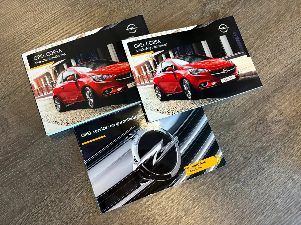 Color Edition OPC-line 1.0 Turbo | Cruise control | 17" Lichtmetalen velgen |