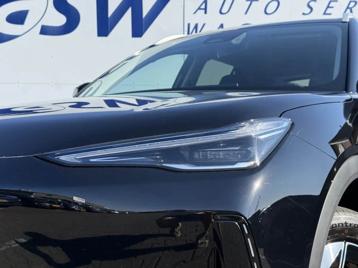 Pro+ 68 kWh | Long Range | 8 jaar garantie | Geely Specilist